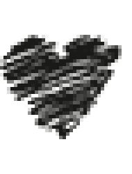 Kadın Zeka Platformu